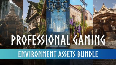 Professional Gaming Environment Assets Bundle