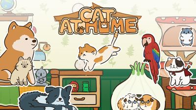 Cat at Home