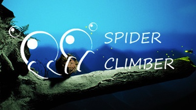 Spider Climber