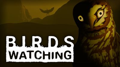 Birds Watching