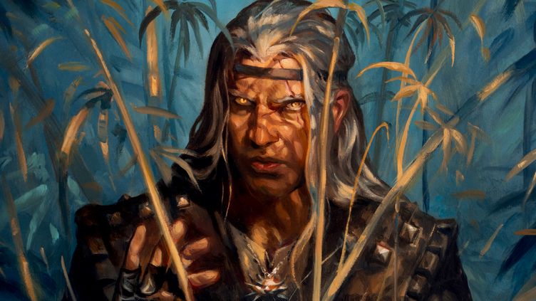 

Andrzej Sapkowski's The Witcher: The Edge of the World